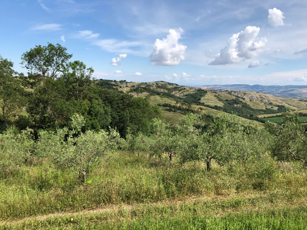 Agriturismo er den perfekte bondegårdsferie på italiensk