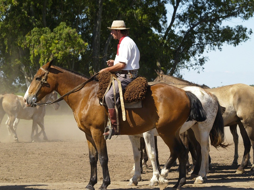 Rejsenyt: Oplev verden på hesteryg
